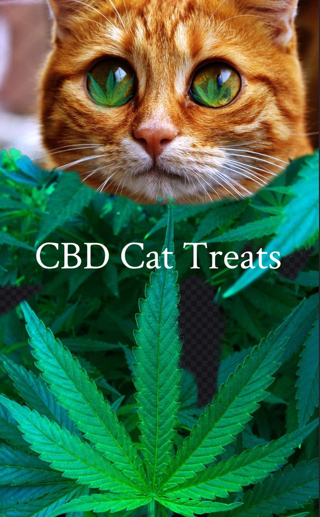 CBD Cat Treats