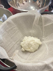 Virtual Class Making Farmhouse Cheddar