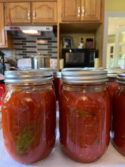 Class: Canning, Acidification Making Salsa, BBQ Sauce & Bloody Mary Mix 2/2 11:00-1:00