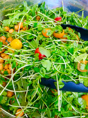 Taste of India, 11/1 11:00-1:00