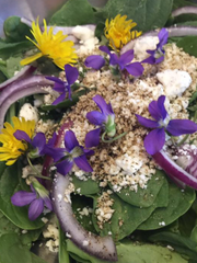Class Foraging Excursion 6/7, 11:00-2:00