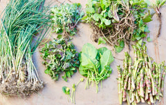 Class Foraging Excursion 6/7, 11:00-2:00